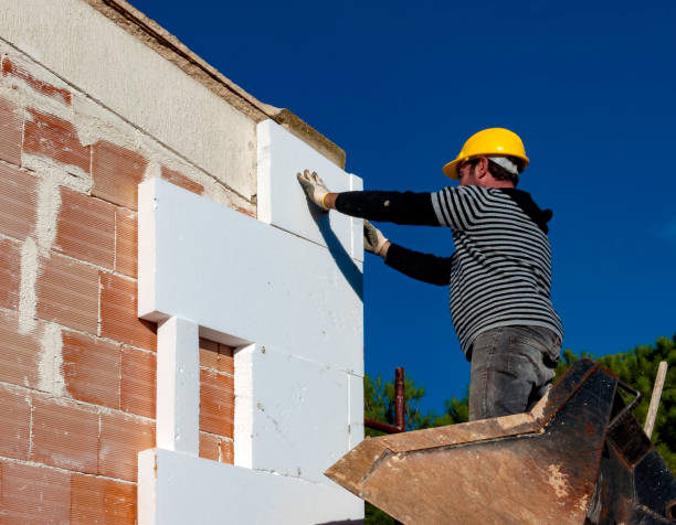 Best Cellulose Insulation in Cross Roads, TX