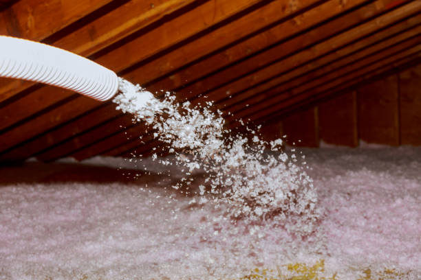 Best DIY Insulation Kits and Guidance in Cross Roads, TX
