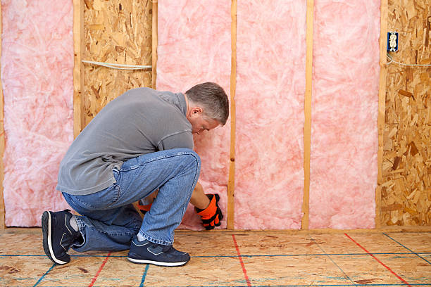 Best Spray Foam Insulation in Cross Roads, TX